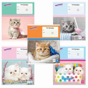 Тетрадь 18л линия 