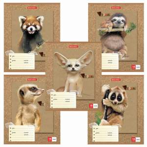 Тетрадь 18л линия 