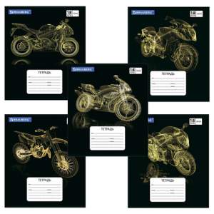 Тетрадь 18л линия 