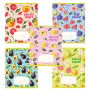 Тетрадь 18л линия BRAUBERG 