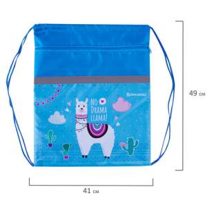 Сумка для обуви Brauberg 