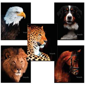 Тетрадь 48л клетка 