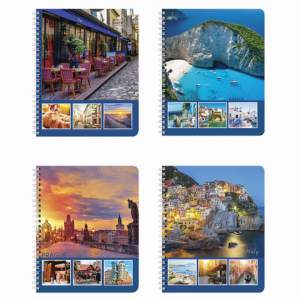 Тетрадь 96л клетка/гребень 