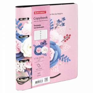 Тетрадь на кольцах 80л Brauberg А5  VISTA,...