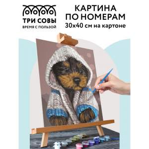 Набор ДТ Картина по номерам ТРИ СОВЫ 
