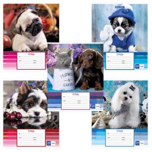 Тетрадь 24л линия 