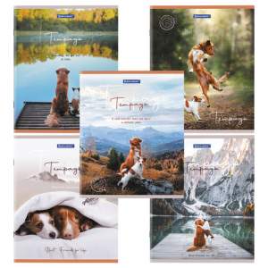 Тетрадь 48л клетка BRAUBERG 