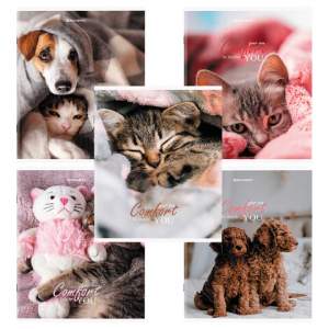 Тетрадь 48л линейка BRAUBERG  