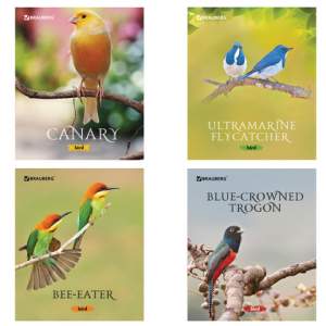 Тетрадь 48л клетка 