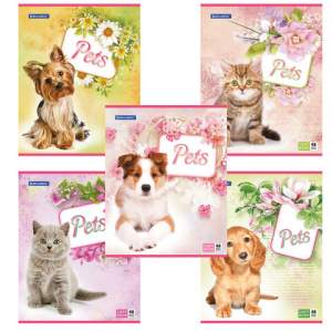 Тетрадь 48л клетка 