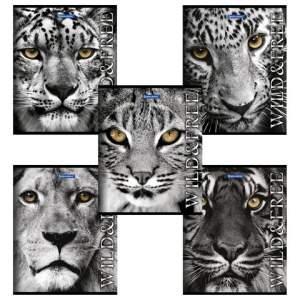 Тетрадь 48л клетка 