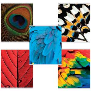 Тетрадь 96л  клетка 