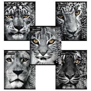 Тетрадь 48л линия 