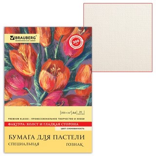 Папка для пастели А4 20л/уп. BRAUBERG (сло...