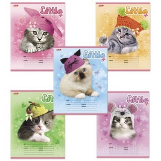 Тетрадь 12л клетка Котята в шапочках Хатбе...