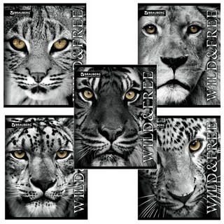 Тетрадь 48л линия Pro (дикие и свободные) ...