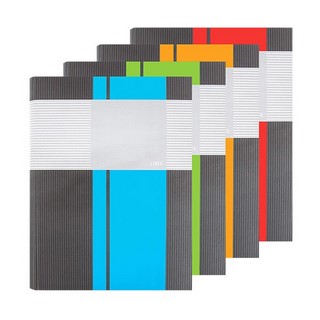 Тетрадь на кольцах А4 100л Линер