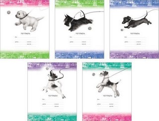 Тетрадь 12л косая линия На пргулке