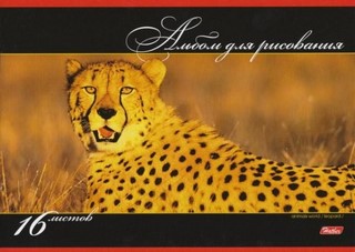 Альбом для рисования 16л. В мире животных ...