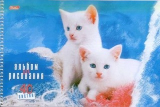Альбом для рисования 40л./спираль Любимцы ...