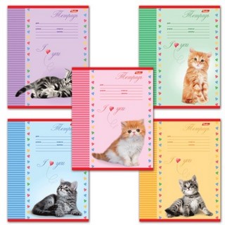 Тетрадь 24л клетка Котята ХАТБЕР