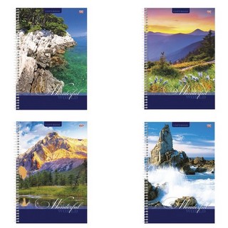 Тетрадь А4 80л клетка Удивительный мир ХАТ...