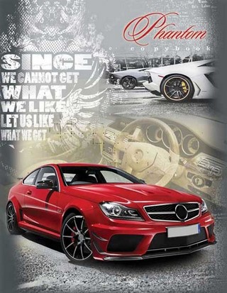 Тетрадь на кольцах 80л АвтоПроф-Пресс