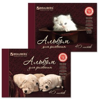 Альбом для рисования 40л. на завязках Котя...