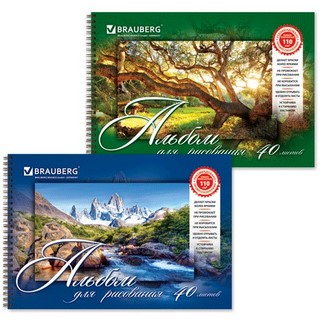 Альбом для рисования 40л./гребень Удивител...