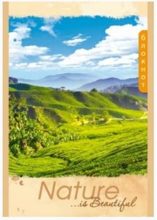 Блокнот А6  32л. клетка ПРОФФ-ПРЕСС ассорт...