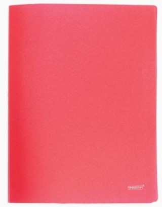 Папка пластиковая с 10 файлами 0,45мм PROF...