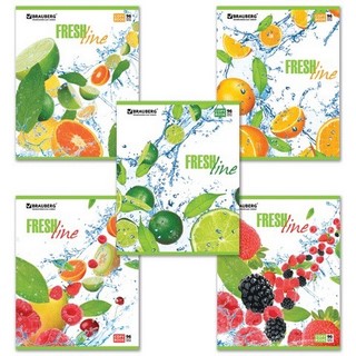 Тетрадь 96л клетка Фрукты Brauberg