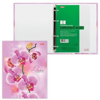 Тетрадь на кольцах 120л Орхидея ХАТБЕР