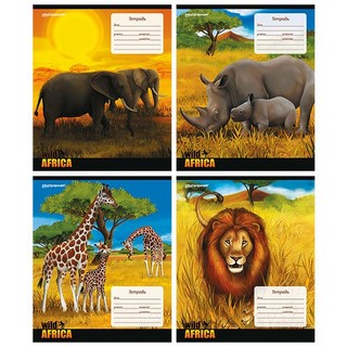 Тетрадь 12л линия Африка schoolФормат