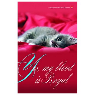 Ежедневник А5 128л. ЧУДО-КОШЕЧКА недат.