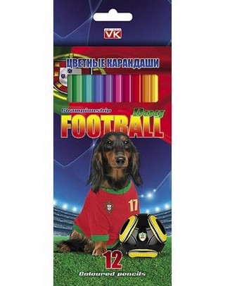 Карандаши цветные 12цв. Хатбер Собаки-футб...