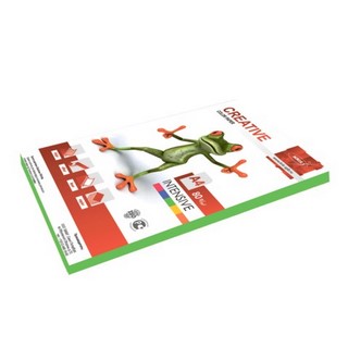 Бумага цветная CREATIVE 80г/м 100л. интенс...