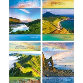 Тетрадь на кольцах 160л Сахалин ассорти 12...