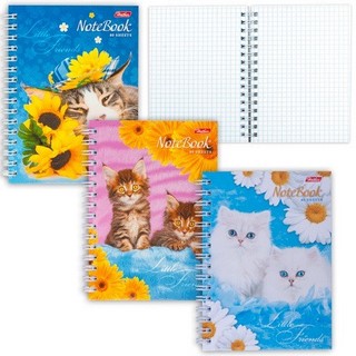 Записная книжка  А6  80л. Котята клетка  н...