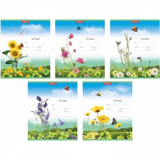Тетрадь 12л клетка Цветы ПОЛИГРАФИКА
