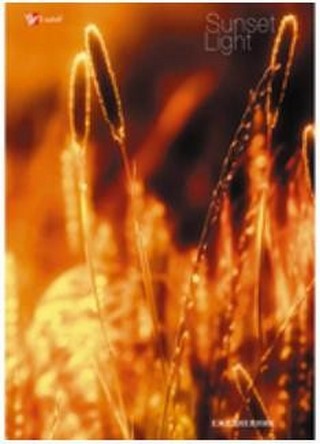 Ежедневник А6 128л. Романтика природы инт....