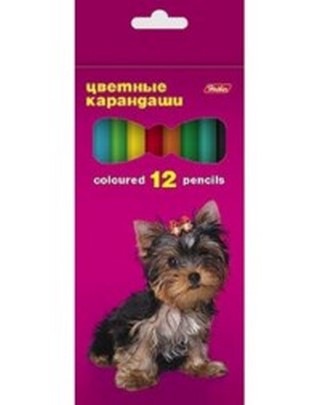 Карандаши цветные 12цв. Хатбер Любимцы (Ро...