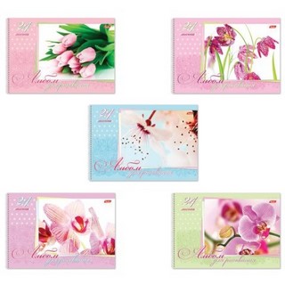 Альбом для рисования 24л. спираль ламин Не...