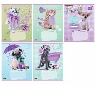 Тетрадь 12л клетка Очаровашки ХАТБЕР, 12Т5...