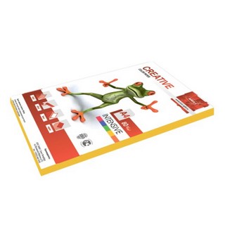 Бумага цветная CREATIVE 80г/м 100л. интенс...
