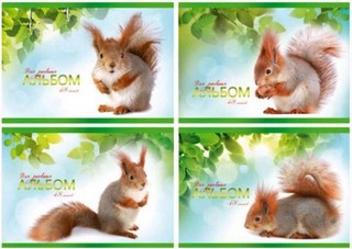 Альбом для рисования 48л./гребень  Белочка...