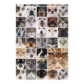 Записная книжка А5  96л. Волшебная природа...