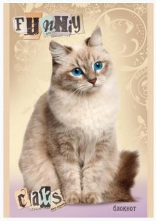 Блокнот А7 48л. клетка Котята