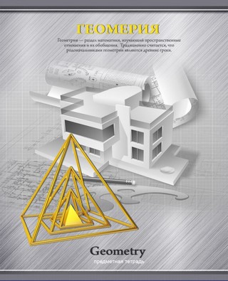 Тетрадь предметная 48л клетка Геометрия Яр...